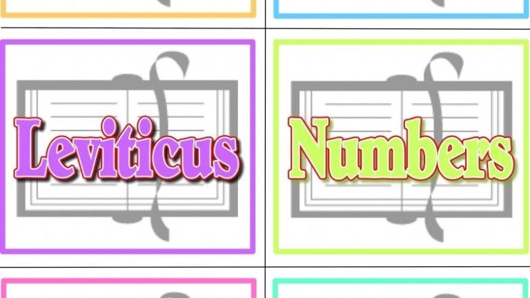 10 Bible Book Cards Games Download The Scripture Lady