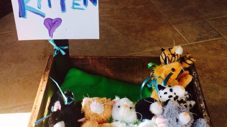 Adopt A Pet Party Favors Use Whatever Animals Match Your Theme Next