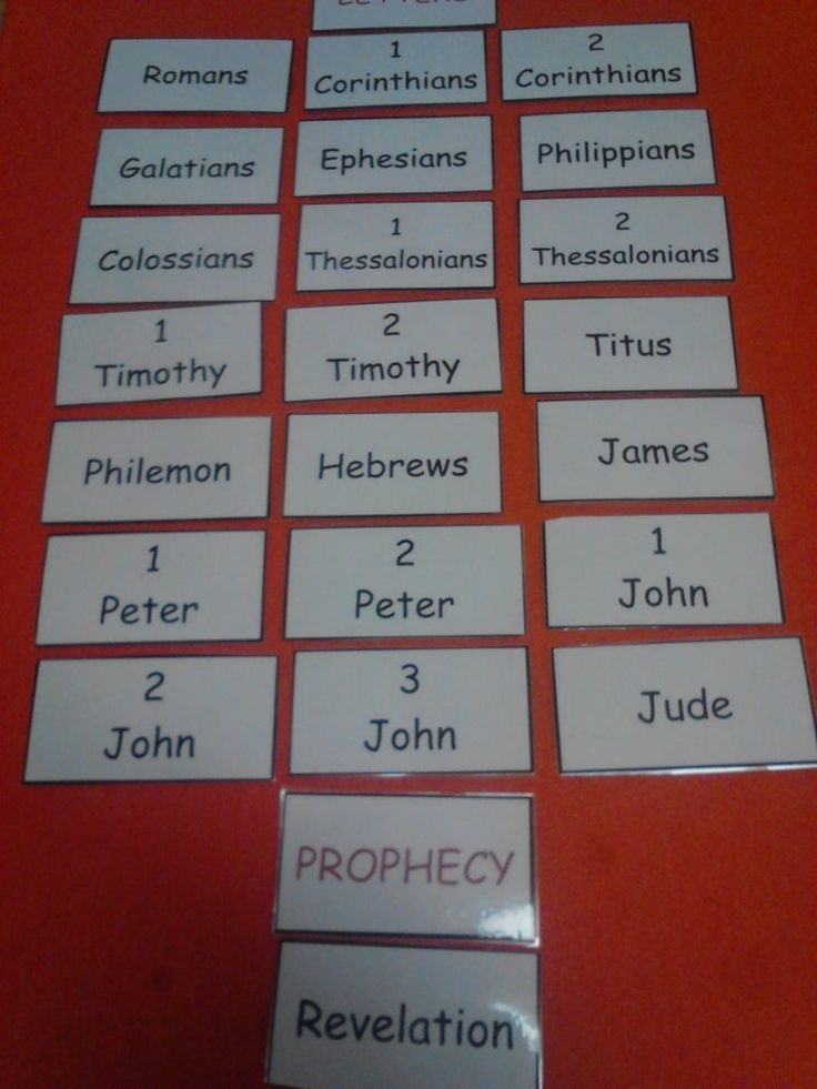 Books Of The Bible LAMINATED Flash Cards Kids Bible Kids Etsy Books