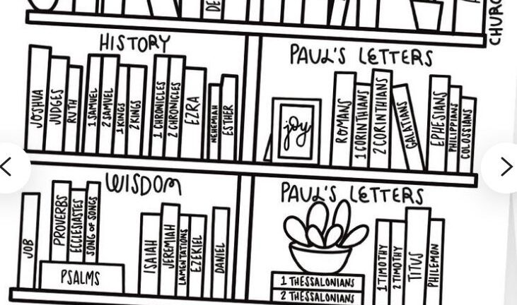 Books Of The Bible Shelf Decor
