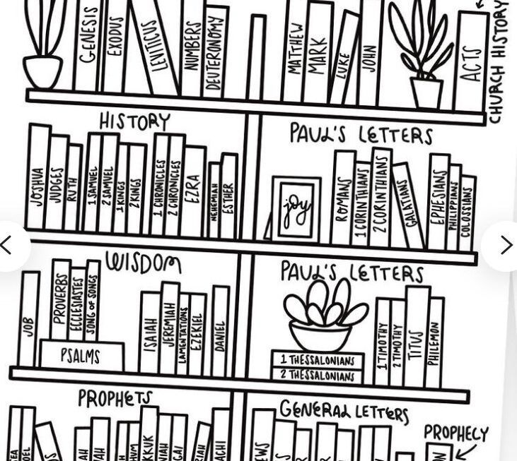 Books Of The Bible Shelf Decor