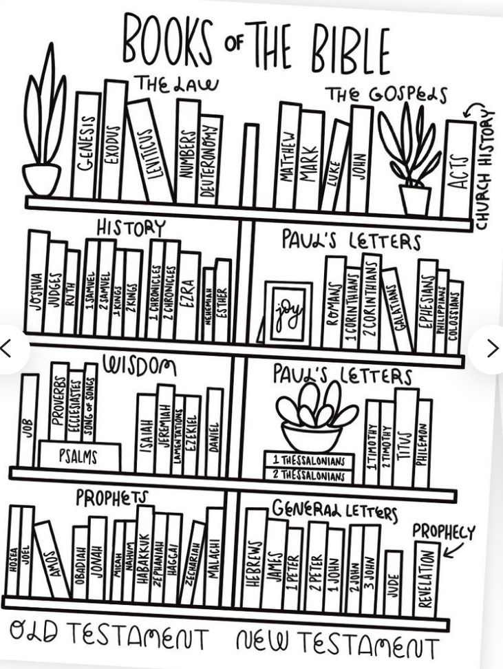 Books Of The Bible Shelf Decor