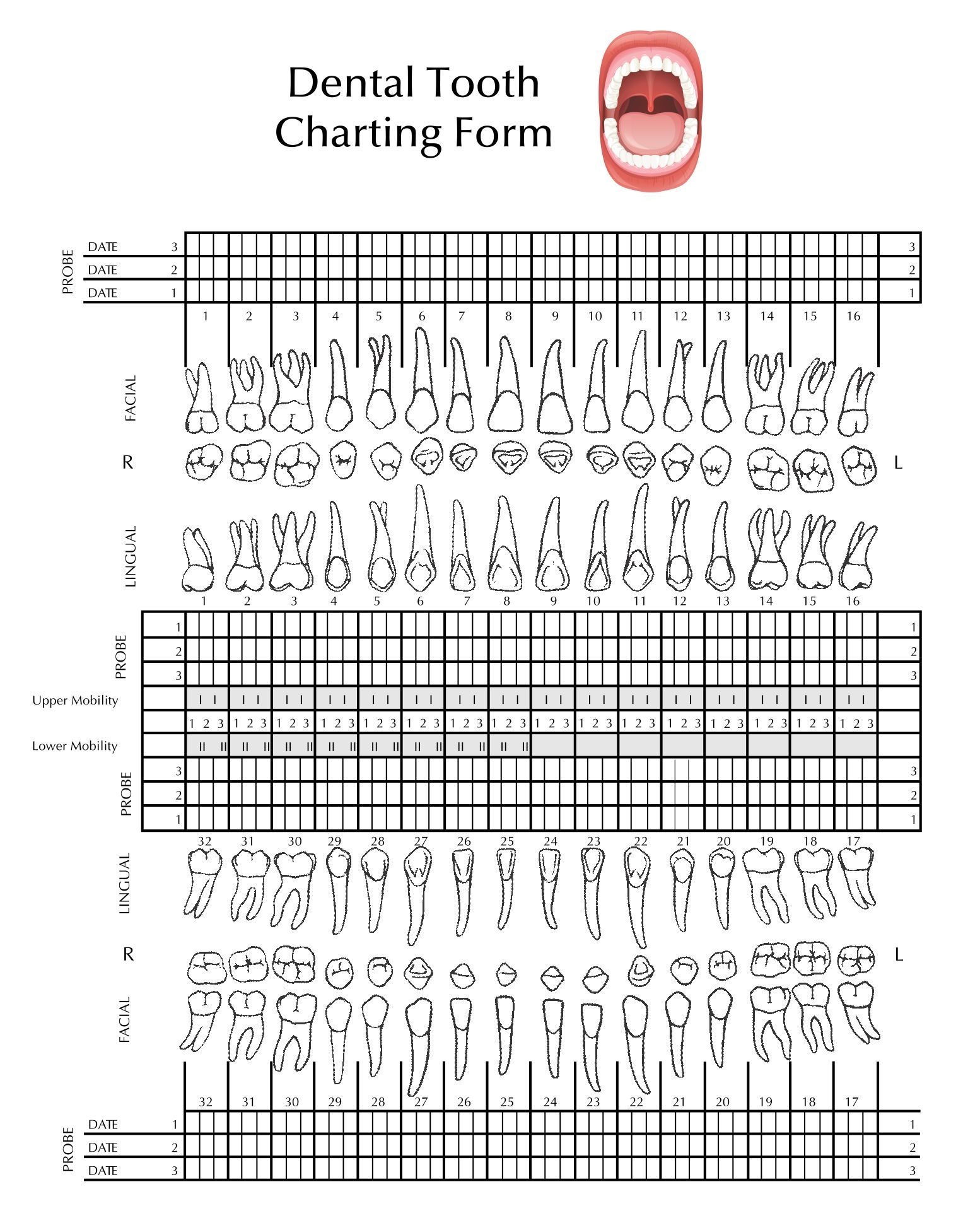 Dental Tooth Charting Form Dental Charting Tooth Chart Practices