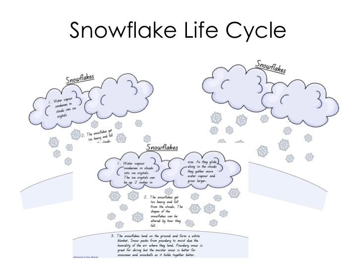 Life Cycle Of A Snowflake Free Printable Dev Onallcylinders