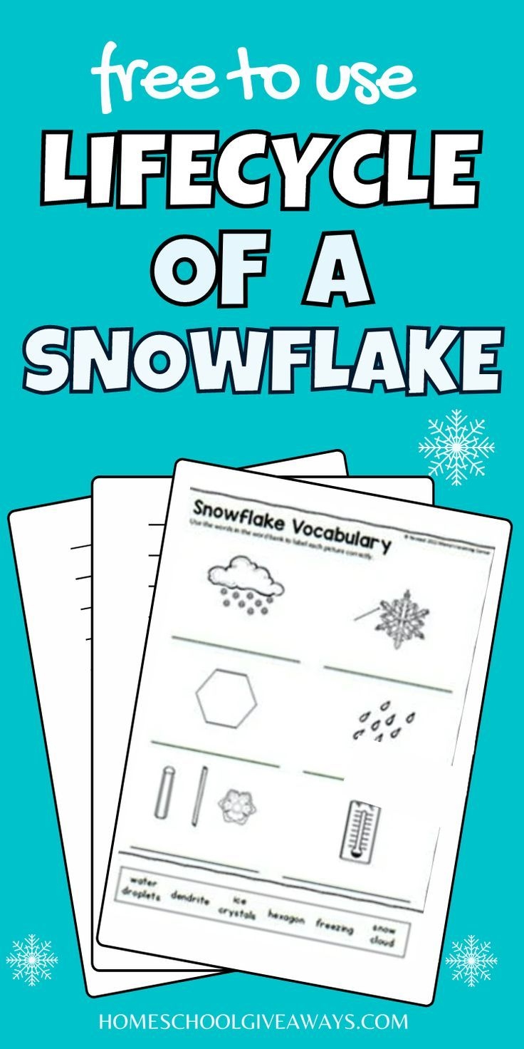 Life Cycle Of A Snowflake Free Printable Printable Budget Planner Sheets