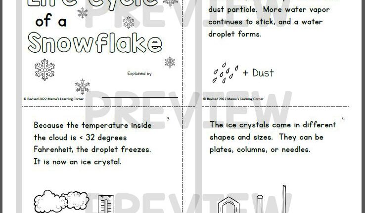 Life Cycle Of A Snowflake Free Printable Printable Templates