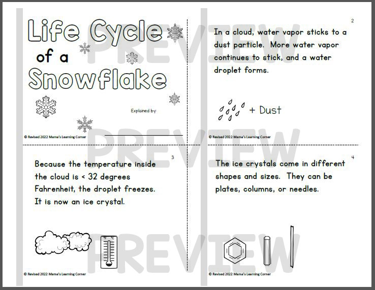 Life Cycle Of A Snowflake Free Printable Printable Templates