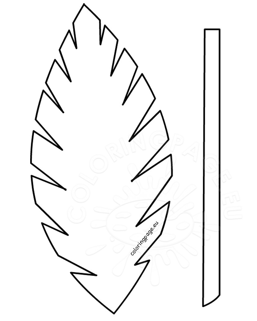 Palm Branch Drawing At GetDrawings Free Download