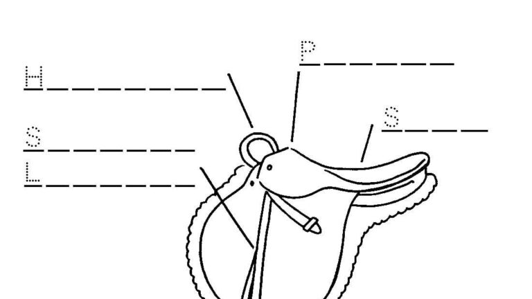 Printable Parts Of A Western Saddle Free Printable