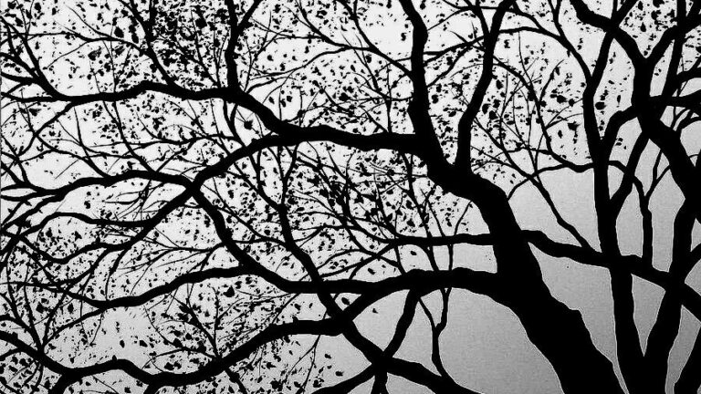 Ranting Pohon Black And White Painting Black And White Landscape