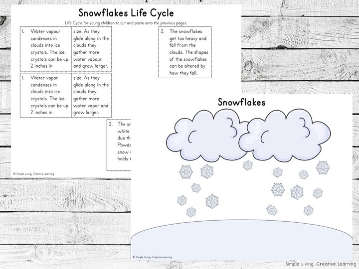 Life Cycle Of A Snowflake Free Printable