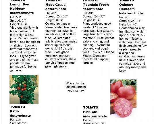 Tomatoes A WebsiteBuilder Website