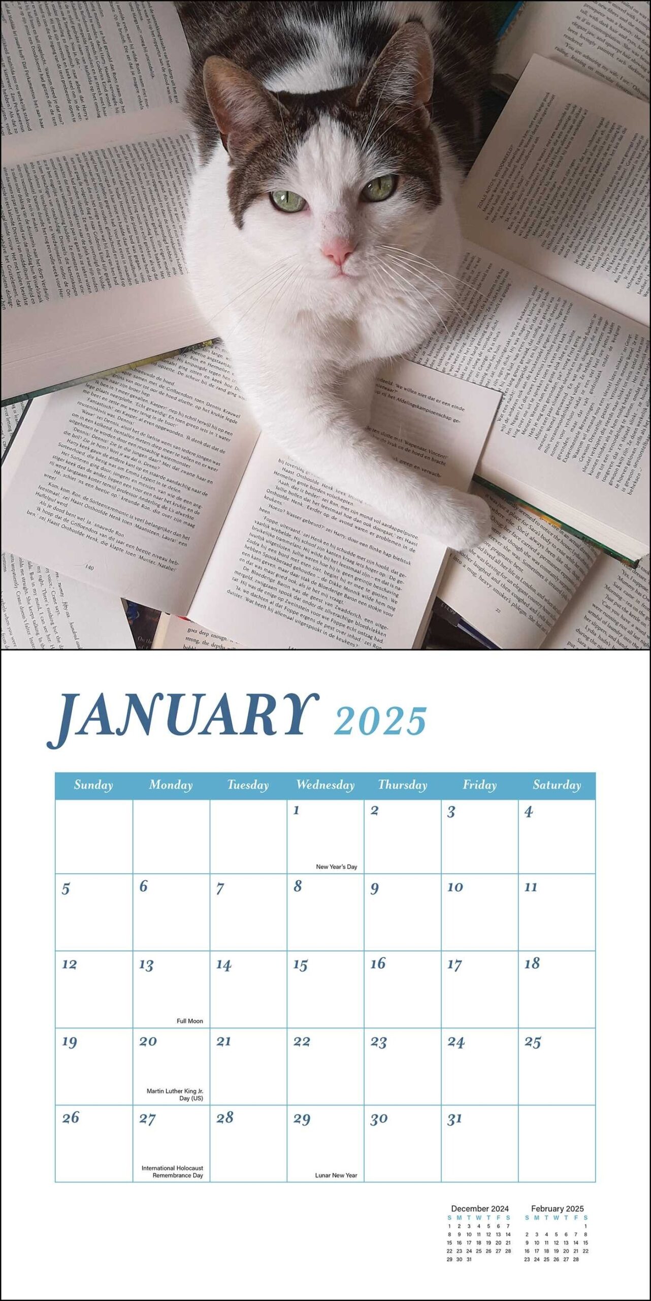 April 2025 Cat Calendar Bobby S Riley
