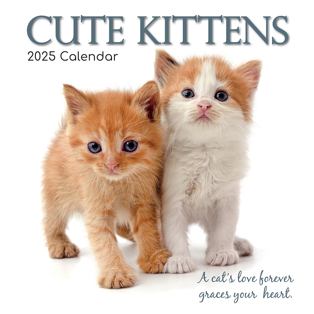 Printable Cat Calendar 2026
