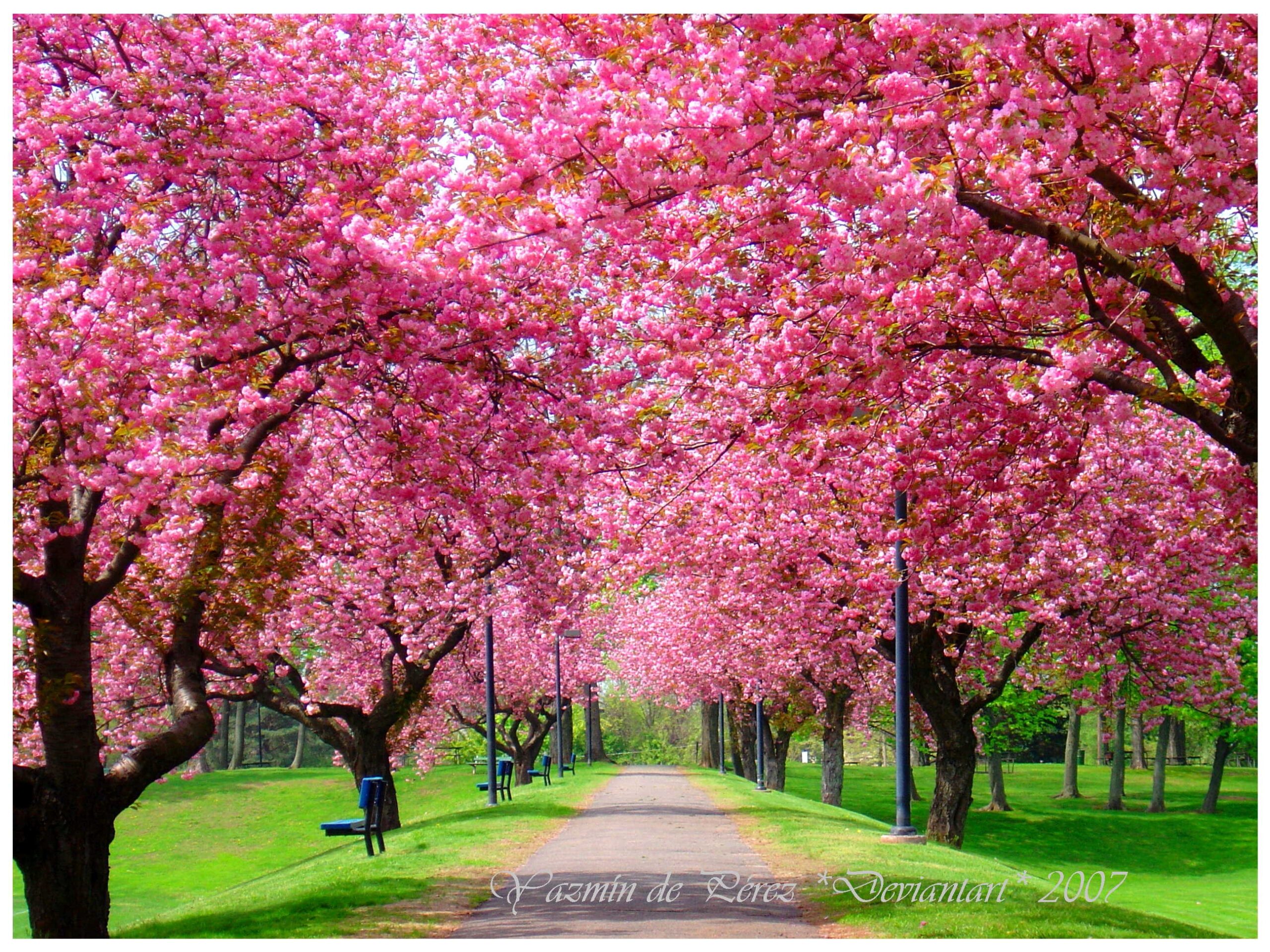Inspiration Fashion Trends Beauty Spring Spring 