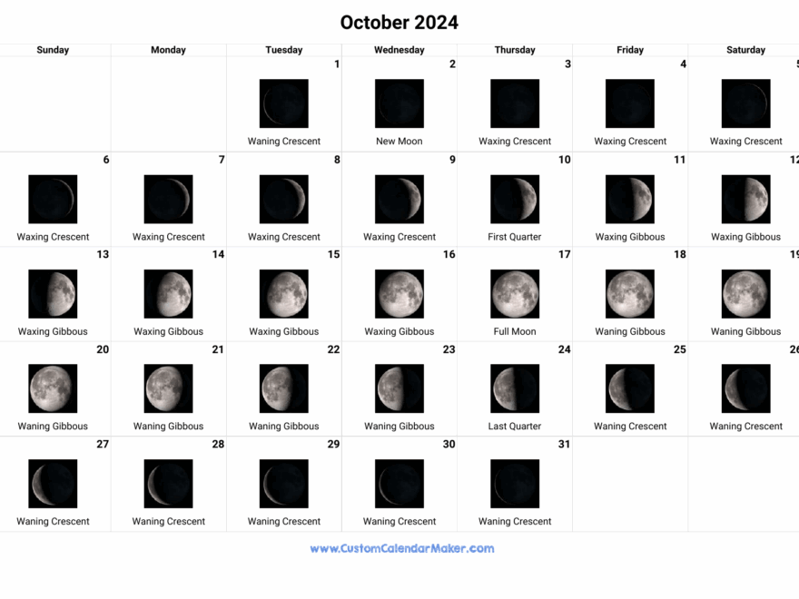 Moon Phase October 26 2024 Carry Crystal