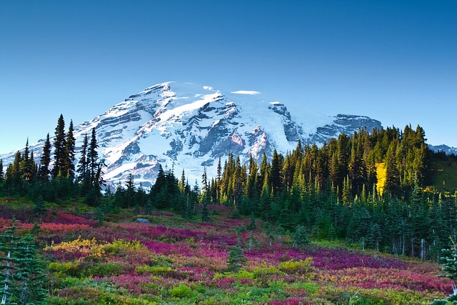 Mount Rainier In Fall Color Flickr Photo Sharing