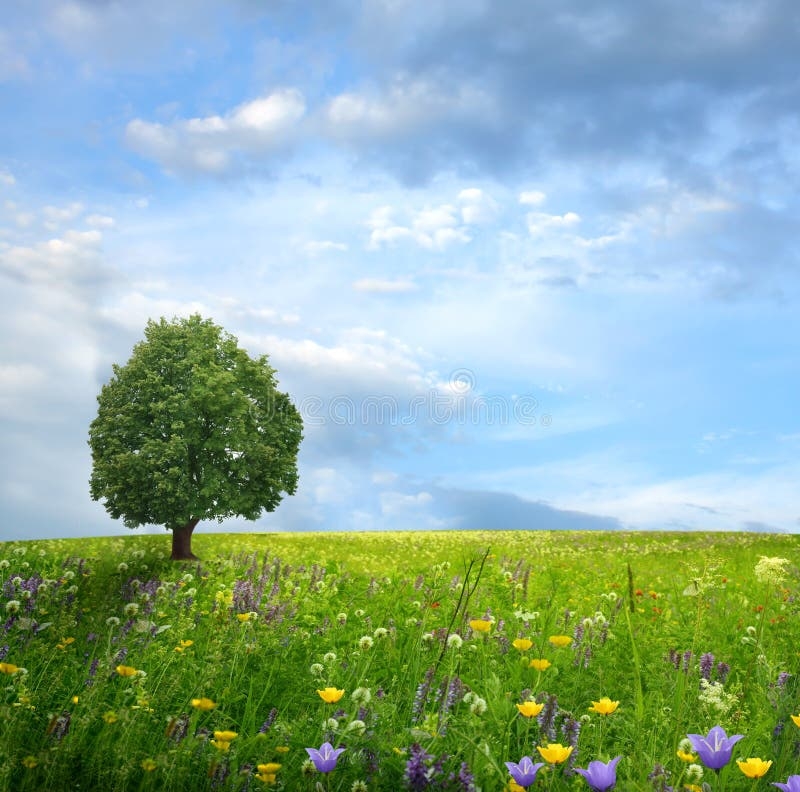 Mountain Landscape Stock Photo Image Of Cloud Beautiful 20112628