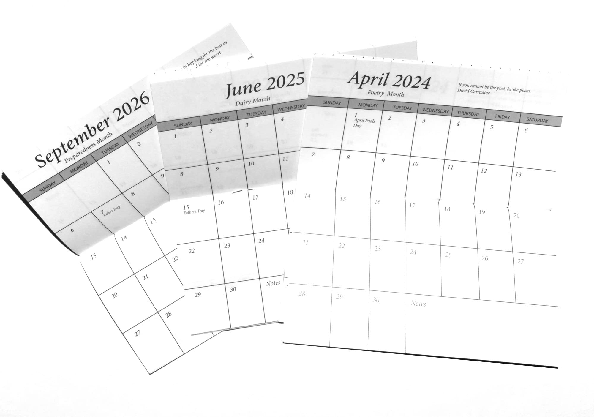 Pocket Calendars 2025 2026 Betty Kassia